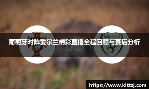 葡萄牙对阵爱尔兰精彩直播全程回顾与赛后分析